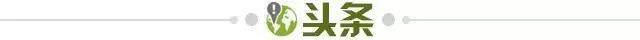 法甲